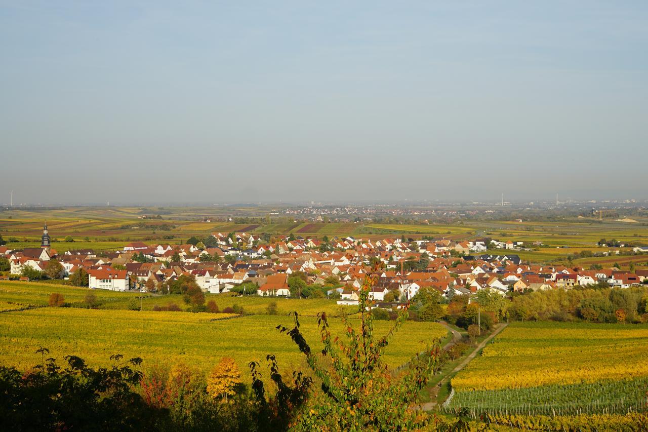 Ferienwohnung Knittel Kallstadt Buitenkant foto
